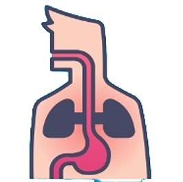 داخلی